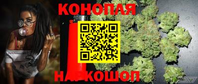 a pvp Малгобек