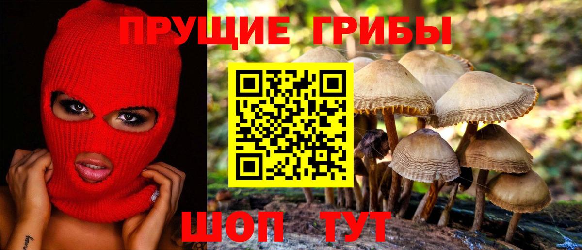 Псилоцибиновые грибы ЛСД Тихорецк