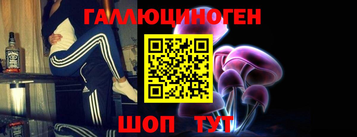 Тихорецк  Галлюциногенные грибы Psilocybe  Вход с VPN 